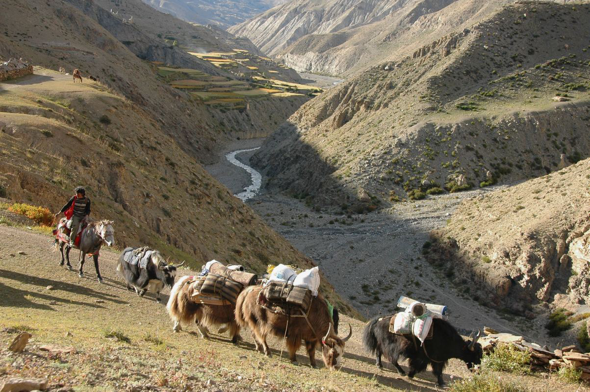 6 Best Off The Beaten Path Treks in Nepal